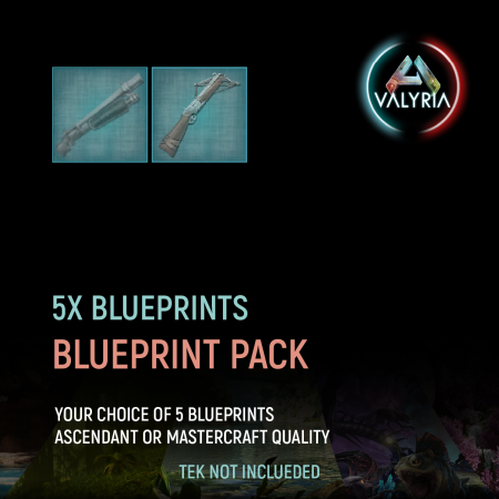 5 Blueprints